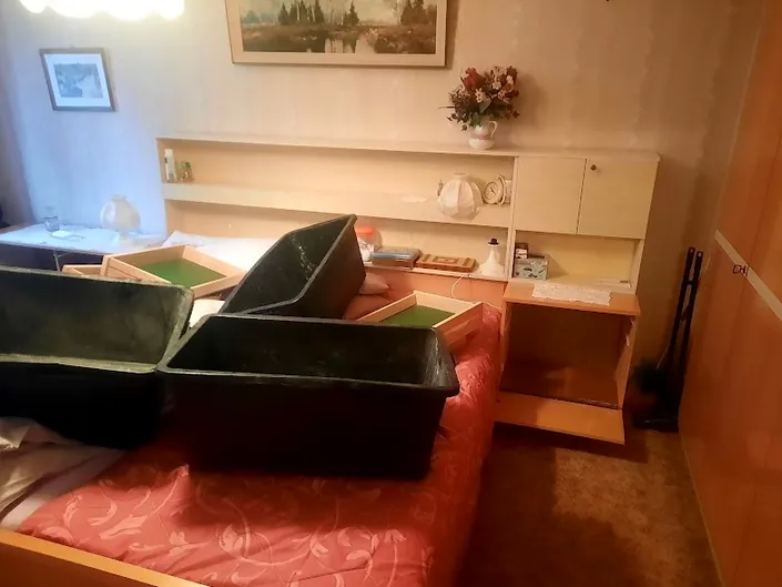AllesWeg24 – Wohnungsauflösung Entrümpelung Haushaltsauflösung Hannover